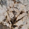 Plan de Travail en Granit “Argent Antique” 9