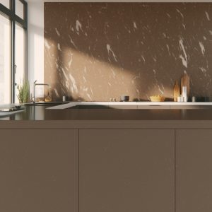 Plan de Travail Quartz Fossile Marron