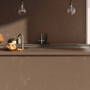 Plan de Travail Quartz Fossile Marron