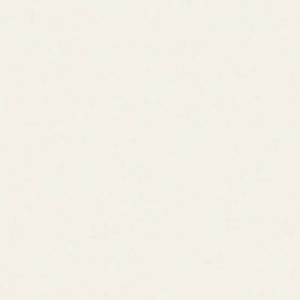 Plan-de-travail-corian-cameo-white