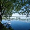 Crédence de Cuisine Arbres Ciel et Lac 13