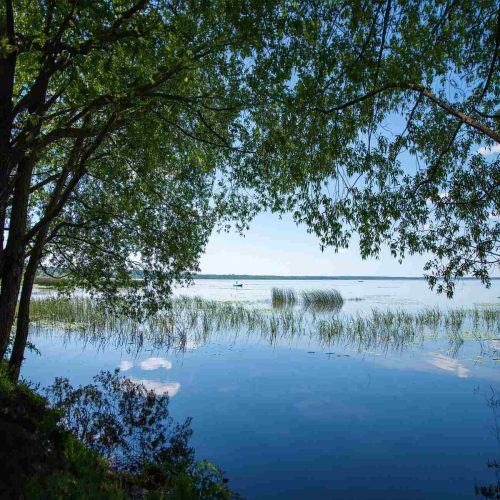 Crédence de Cuisine Arbres Ciel et Lac 9