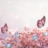 Crédence de Cuisine “Papillon Pink” 14