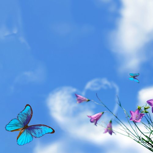 Crédence de Cuisine “Papillon Dans Le Ciel” 7