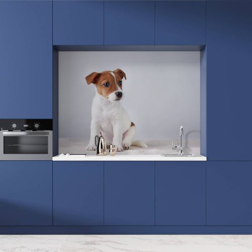 Crédence de cuisine “Chiot Jack Russell Terrier” 8