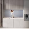 Crédence de cuisine “Chiot Jack Russell Terrier” 15