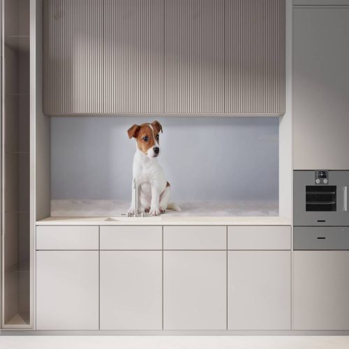 Crédence de cuisine “Chiot Jack Russell Terrier” 10