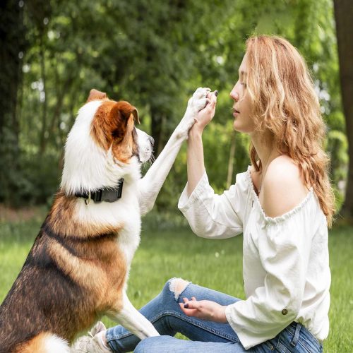 Crédence de cuisine “Complicité  femme et chien” 9