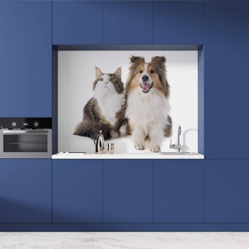 Crédence de cuisine “Duo Shetland Dog et Maine Coon” 8