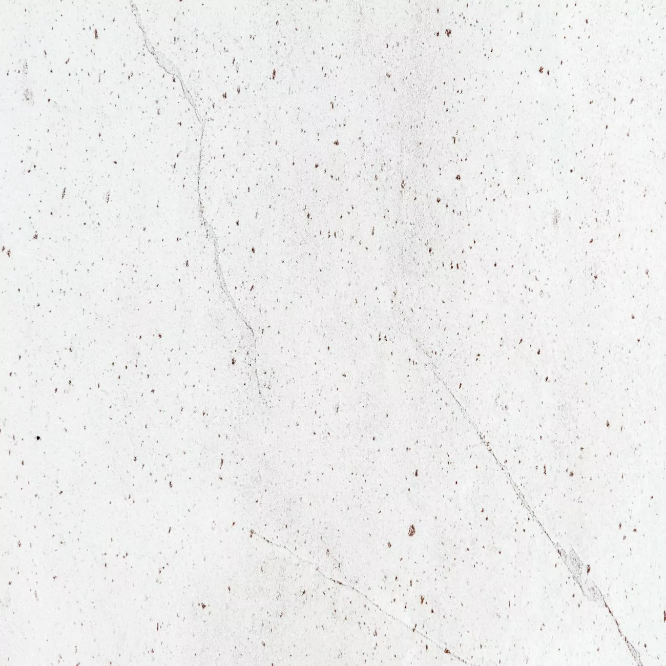 Crédence de Cuisine “Terrazzo Gris” 2