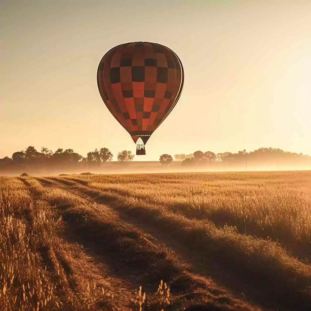 Crédence de Cuisine “montgolfière au dessus prairie” 2