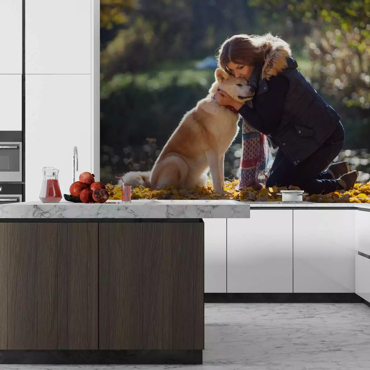 Crédence de cuisine “Femme et son chien Akita Inu” 5