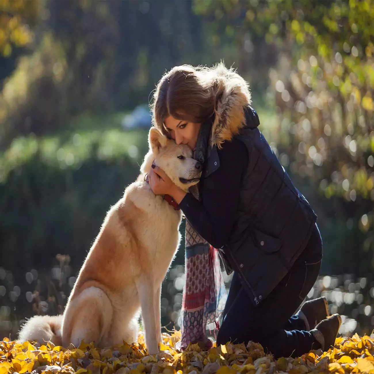 Crédence de cuisine “Femme et son chien Akita Inu” 2